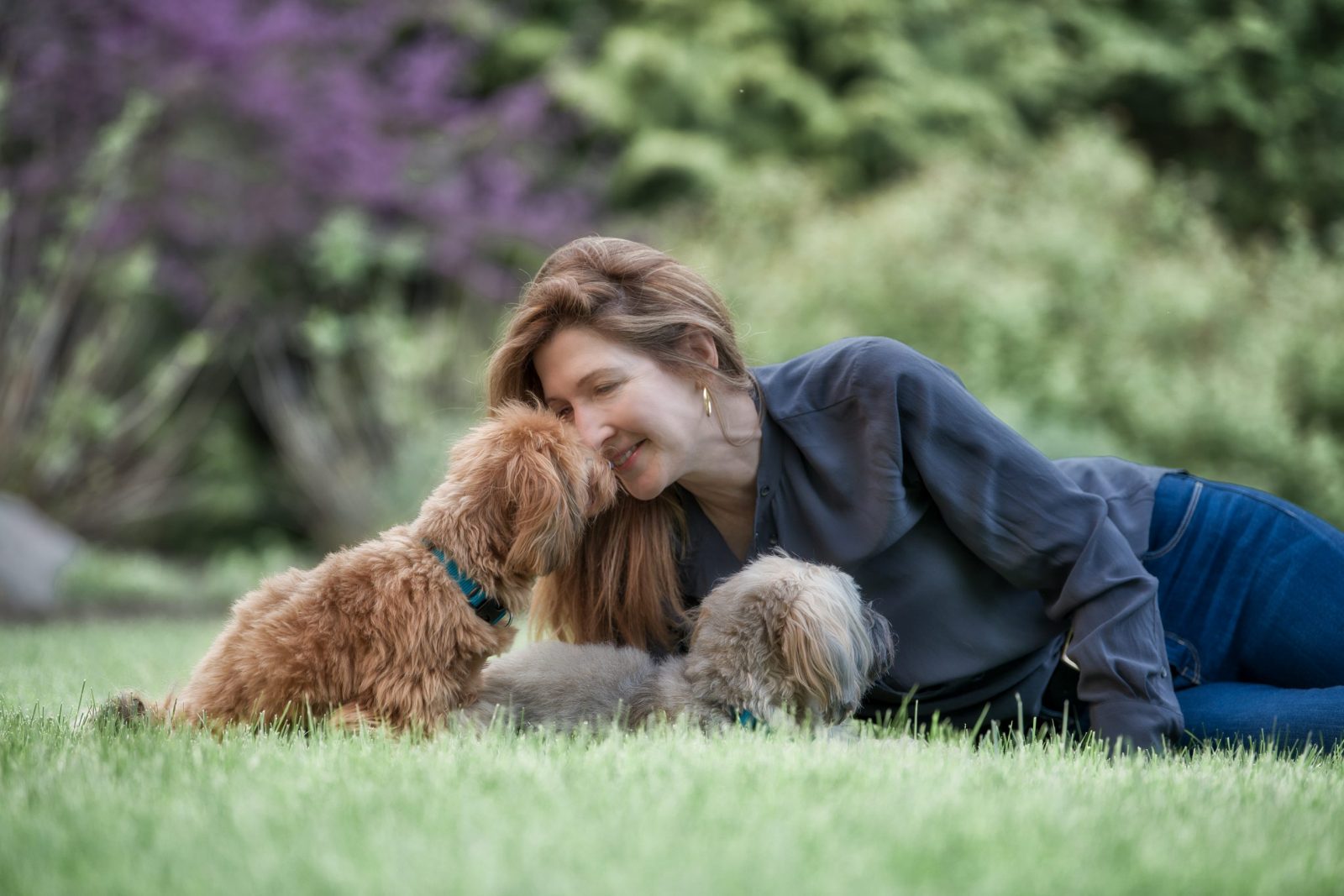 small dog kissing woman