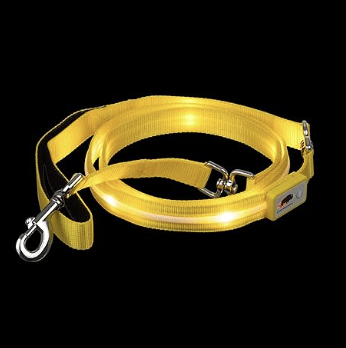 Neon Yellow Leash on black background