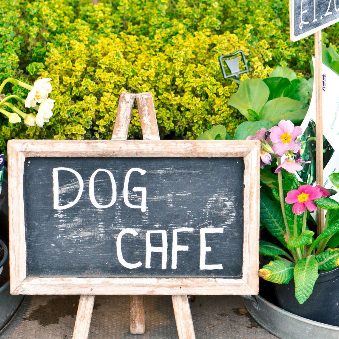 Small chalkboard with "Dog Cafe" written on it. It's set on a short easel with flowers and greenery in the background.