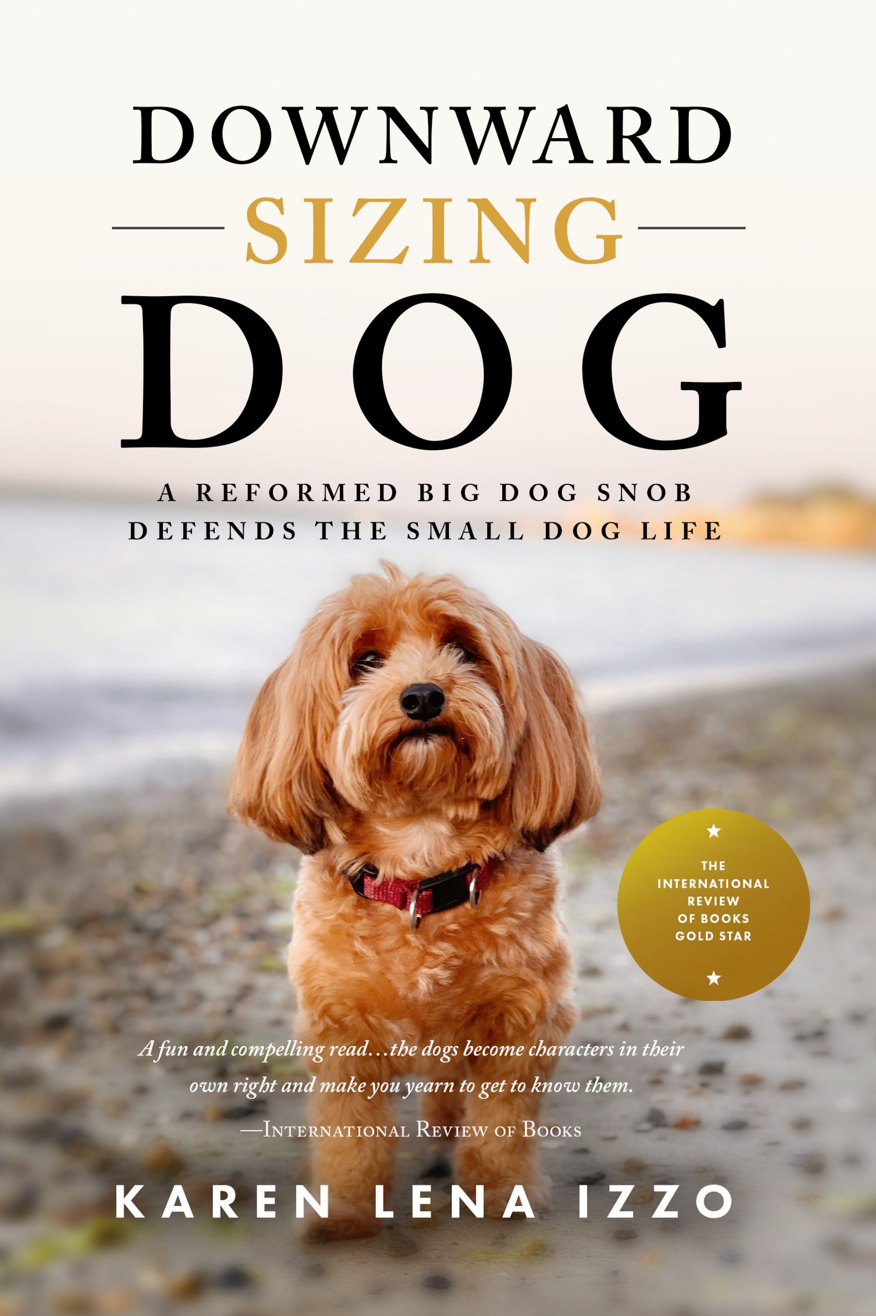 Book Cover for Downward Sizing Dog; picture of small red Havanese dog on beach